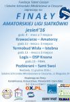 Amatorska Liga Siatkówki - jesień 2016 - finały